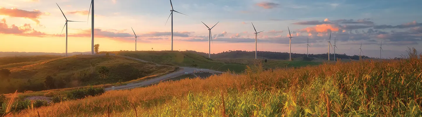 Environment Hero image - windmills