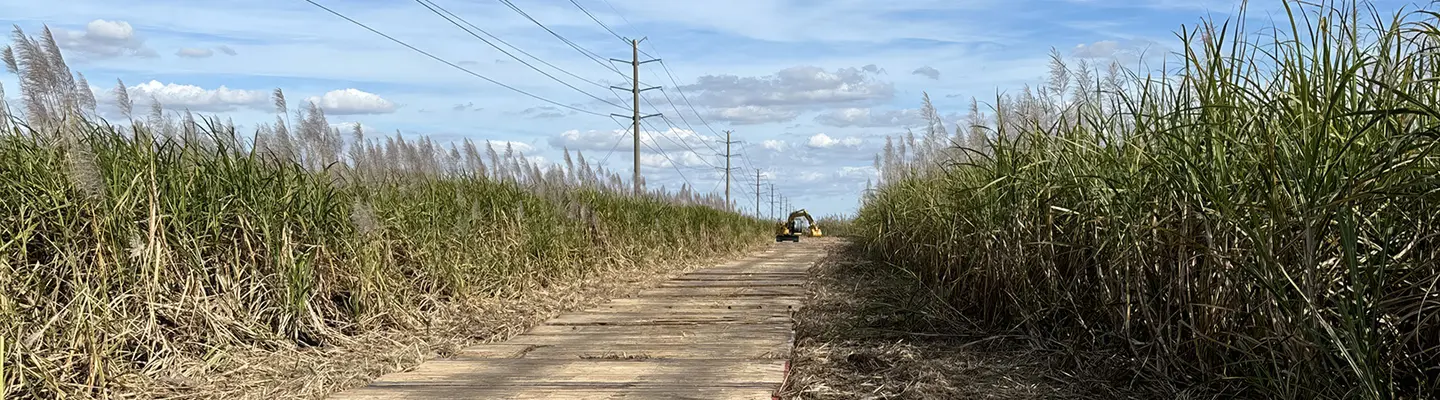 Timberlite ground protection mat temporary road