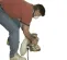 Silver ESSEX Edge Floor Sander, 5-7 in.