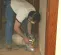 Silver ESSEX Edge Floor Sander, 5-7 in.