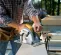 Yellow, gray and black DEWALT Circular Saw, 7-1/4 in., Electric Powered