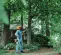 Orange, black and white STIHL Power Pruner Pole Saw, 7 ft.-11.6 ft. Reach, Gas Powered