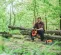 Gray and orange STIHL Chainsaw, 18 in., Gas Powered