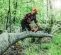 Gray and orange STIHL Chainsaw, 18 in., Gas Powered