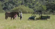 People with a UTV and a horse