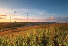 Environment Hero image - windmills