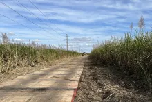 Timberlite ground protection mat temporary road